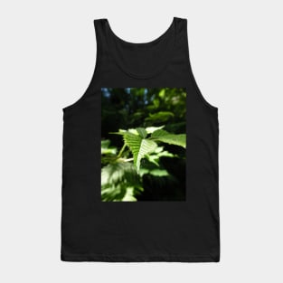 Scottish Photography Series (Vectorized) - Sun Kissed Leaves Tank Top